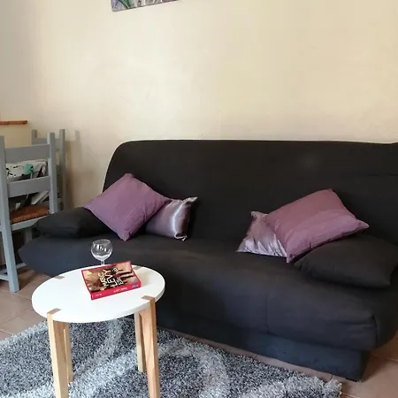 Tatil Evi La Rocardiere Xl 10 Personnes *