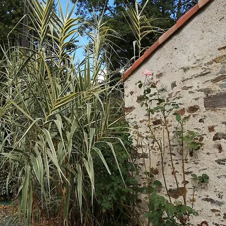 La Rocardiere Xl 10 Personnes