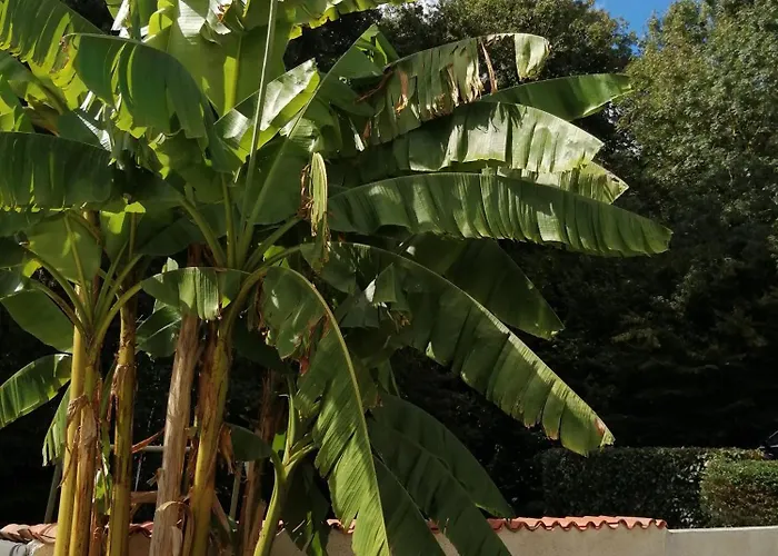 La Rocardiere Xl 10 Personnes Prázdninový dům Mouchamps