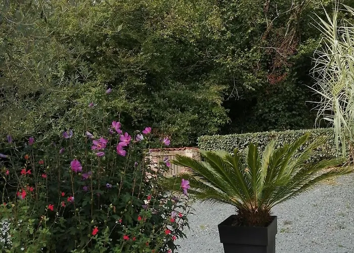 La Rocardiere Xl 10 Personnes * Mouchamps